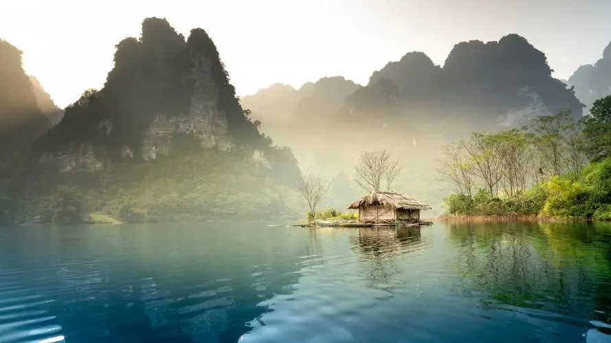 智能全自动高效